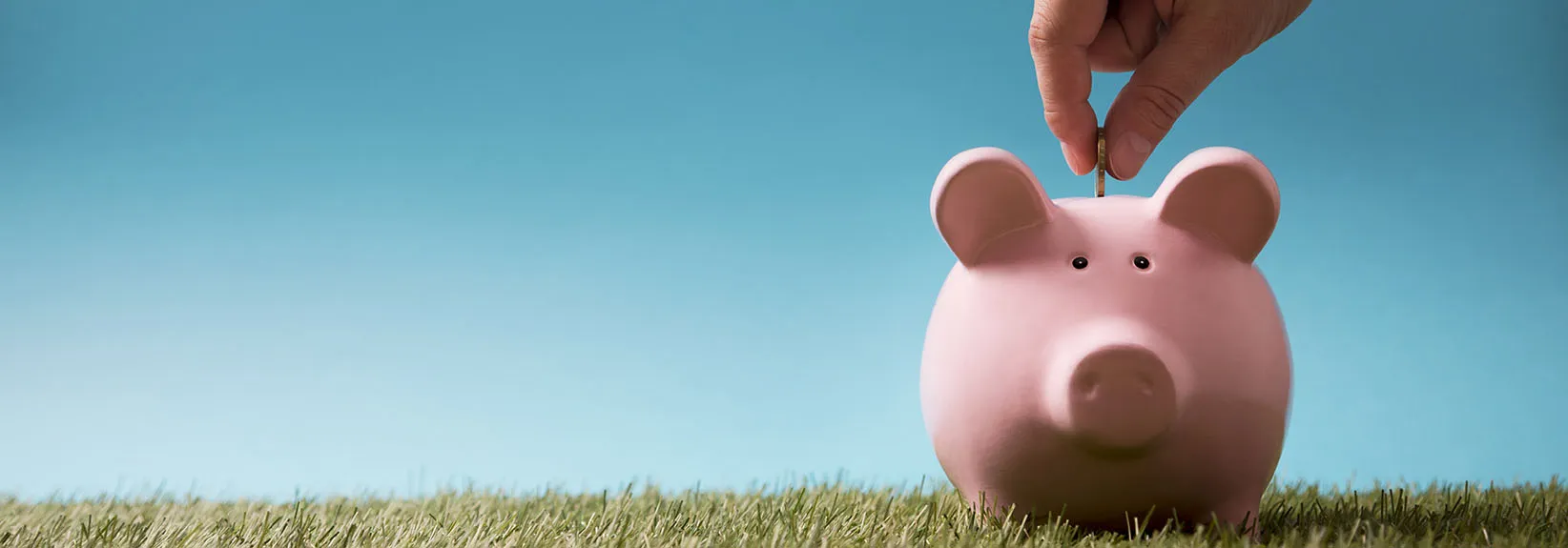 4 Tips for Saving Energy in Canada This Summer  blog image