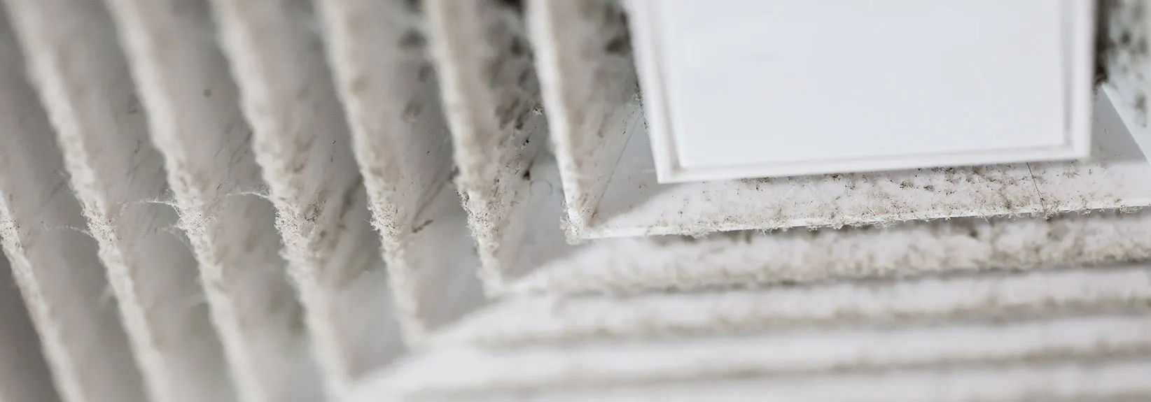 What’s Crawling Around in Your Home’s Air Ducts? blog image