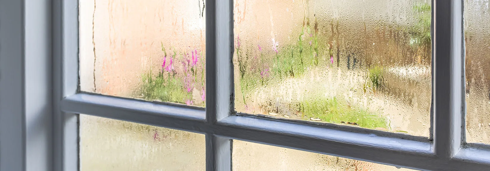 What Should Ideal Indoor Humidity Be? blog image