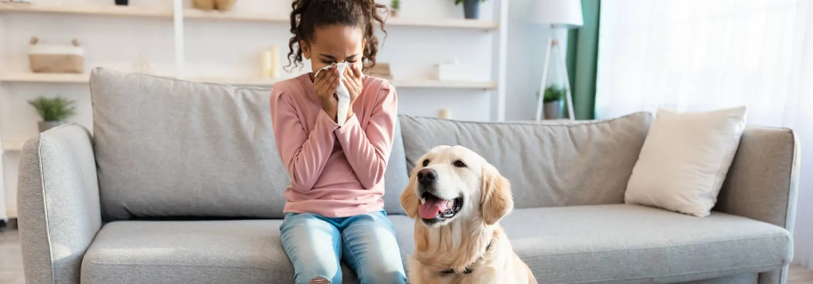 Indoor Allergy Relief blog image